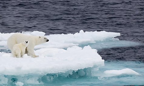 Climate Change