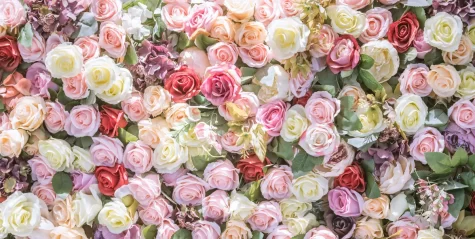 The meaning of flowers