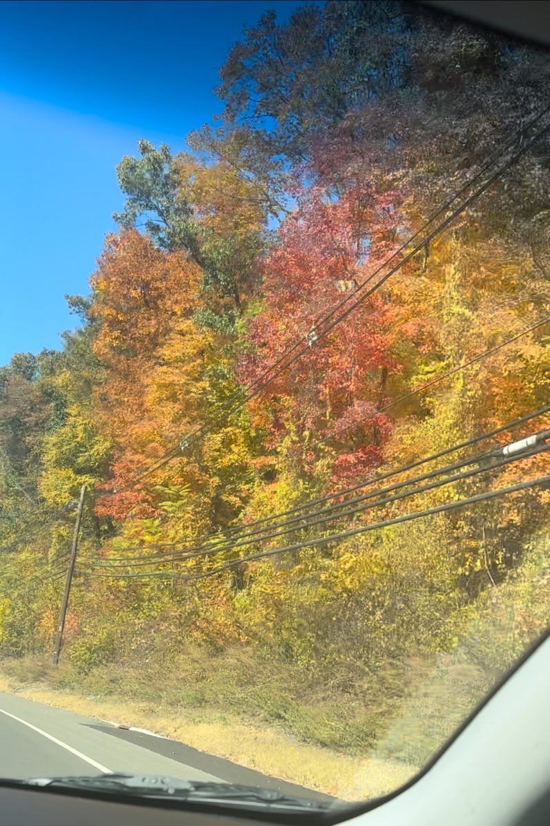 Areas to go see Fall Foliage